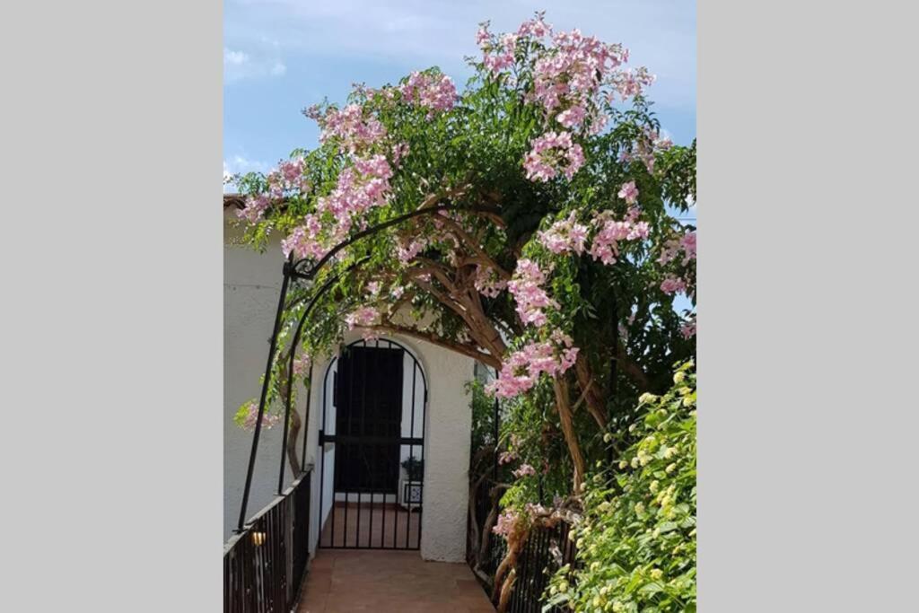 Fabulous Refurbished Apartment Above Private Villa Benissa Εξωτερικό φωτογραφία